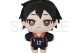 ハイキュー!! ぬいパル(ぬいぐるみマスコット) 第二弾 山口忠 キャラアニで
                                                2025年9月発売