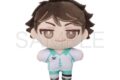 ハイキュー!! ぬいパル(ぬいぐるみマスコット) 第二弾 及川徹 キャラアニで
                                                2025年9月発売