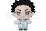 ハイキュー!! ぬいパル(ぬいぐるみマスコット) 第二弾 岩泉一 キャラアニで
                                                2025年9月発売