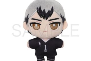 ハイキュー!! ぬいパル(ぬいぐるみマスコット) 第二弾 北信介 キャラアニで
                                                2025年9月発売