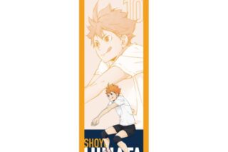 ハイキュー!! BIGタペストリー 日向翔陽 〜レシーブ〜 キャラアニで
                                                2025年9月発売