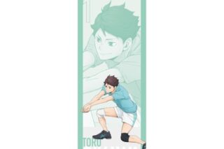 ハイキュー!! BIGタペストリー 及川徹 〜レシーブ〜 キャラアニで
                                                2025年9月発売