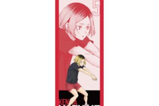 ハイキュー!! BIGタペストリー 孤爪研磨 〜レシーブ〜 キャラアニで
                                                2025年9月発売