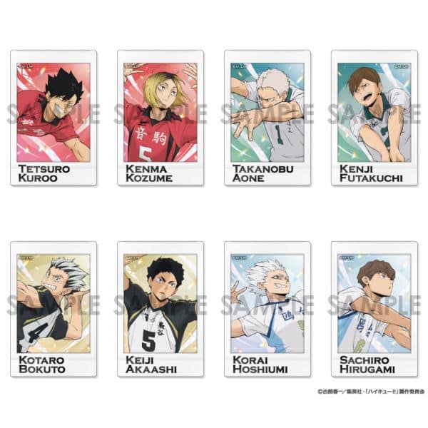 ハイキュー!! キャラナップコレクション 第9弾 BOX.B 【1BOX】 キャラアニで
                                                2025年9月発売