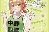 五等分の花嫁* ミニタオル 中野四葉 キャラアニで
                                                2025年7月5日発売