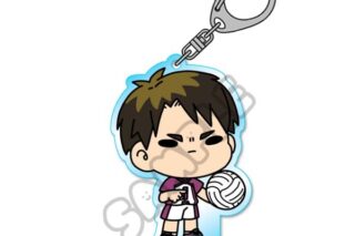 ハイキュー!! みんなmochocho化大作戦!第7弾 アクリルキーホルダー M-OF 牛島若利 キャラアニで
                                                2025年9月発売
