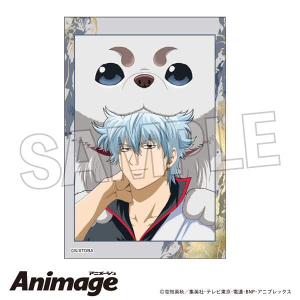 銀魂 積み積みブロック vol.3 1 キャラアニで
                                                2025年7月発売