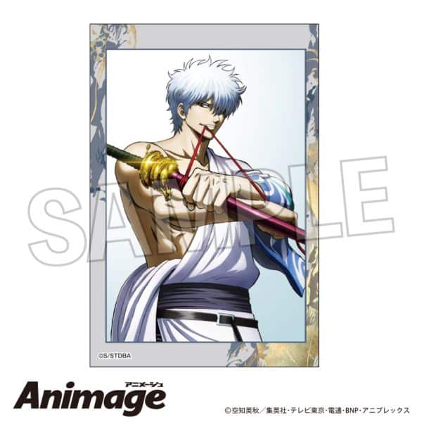 銀魂 積み積みブロック vol.3 3 キャラアニで
                                                2025年7月発売