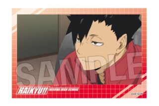 ハイキュー!! 積み積みブロック vol.7 15 キャラアニで
                                                2025年7月発売
