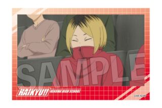 ハイキュー!! 積み積みブロック vol.7 17 キャラアニで
                                                2025年7月発売