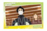 ハイキュー!! スタパネ ミニ vol.7 30 キャラアニで
                                                2025年7月発売