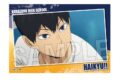 ハイキュー!! スタパネ ミニ vol.7　4
 
2025年07月発売