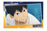 ハイキュー!! スタパネ ミニ vol.7　4
 
2025年07月発売