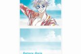 [アニメイト]呪術廻戦 五条 悟 めんそーれ Ani-Art 第2弾 懐玉・玉折 A5イラストカード【再販】
 
2025年7月17日発売