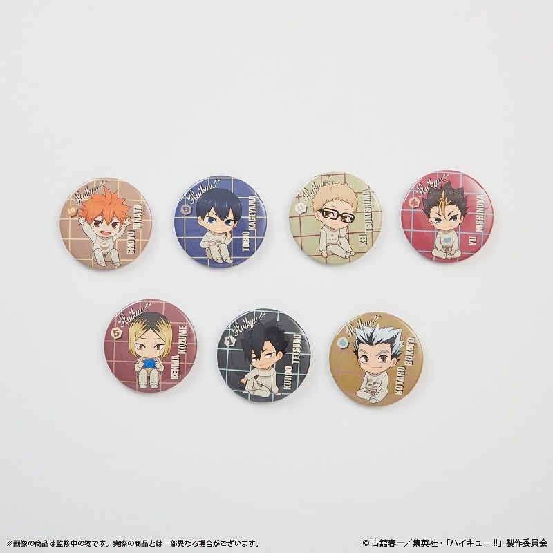 ハイキュー!! 缶バッジ(コンプリートセット)【Palude】
 アニメイトで
2025年02月発売