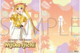 ぼっち・ざ・ろっく! クリアファイル/伊地知虹夏　アロハ衣装
 
2025年8月2日発売
で取扱中 (アニメイト)