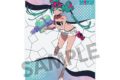 レーシングミク 2025 Rd.3 セパン Ver. ビジュアルアクリルプレート
 
2025年07月発売