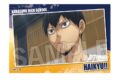 ハイキュー!! スタパネ ミニ vol.7　5
 
2025年07月発売