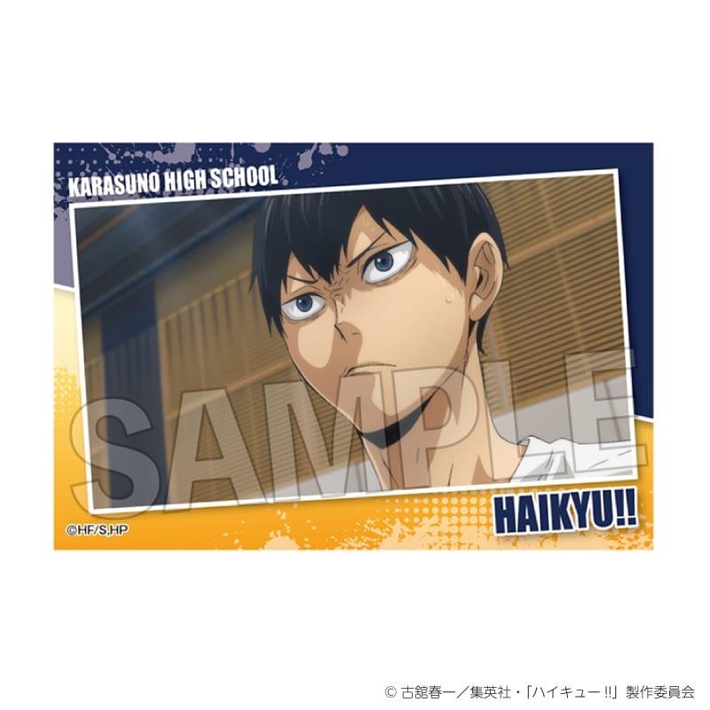 ハイキュー!! スタパネ ミニ vol.7　5
 
2025年07月発売