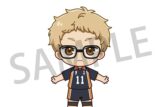 ハイキュー!! アクドール 月島 蛍
 アニメイトで
2025年03月上旬発売