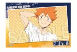 ハイキュー!! スタパネ ミニ vol.7　1
 
2025年07月発売
で取扱中