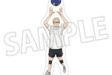 ハイキュー!! ダイカットステッカー/月島 蛍
 アニメイトで
2025年7月26日発売