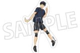 ハイキュー!! ダイカットステッカー/影山飛雄
 アニメイトで
2025年7月26日発売