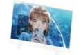 アオのハコ 千夏-1グランプリ アクリルパネル ねぇねぇ。な千夏 
2025年8月26日発売