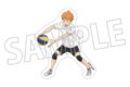 ハイキュー!! ダイカットステッカー/日向翔陽
 アニメイトで
2025年7月26日発売