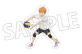 ハイキュー!! ダイカットステッカー/日向翔陽
 アニメイトで
2025年7月26日発売