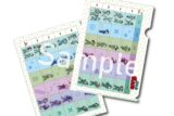 忍たま乱太郎 一目瞭然!委員会ファイル【再販】
 
2025年08月上旬発売