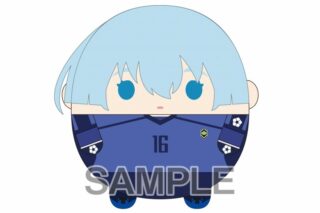 ブルーロック ふわコロりんMsize4 D:氷織 羊
 
2025年04月発売
で取扱中