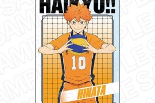 アニメハイキュー!! ミニアクリルアート 日向翔陽
 
2025年08月発売