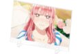 アオのハコ 雛-1グランプリ アクリルパネル 王子さまっ!な雛 
2025年8月26日発売