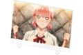 アオのハコ 雛-1グランプリ アクリルパネル 好き。な雛 
2025年8月26日発売