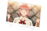 アオのハコ 雛-1グランプリ アクリルパネル 好き。な雛 
2025年8月26日発売