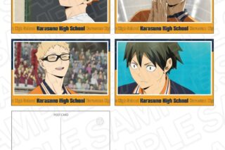 アニメハイキュー!! ポストカードセット 烏野高校 D
 
2025年08月発売