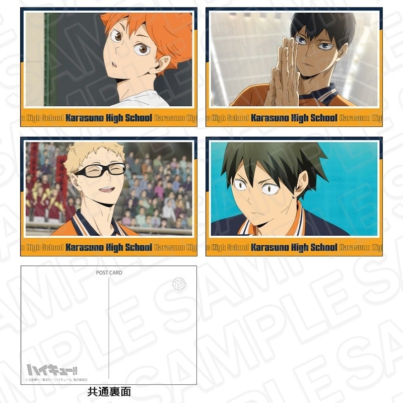 アニメハイキュー!! ポストカードセット 烏野高校 D
 
2025年08月発売