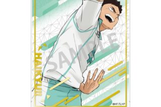 ハイキュー!! 箔押しアクリルスタンド/岩泉 一
 
2025年08月発売
で取扱中