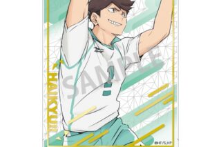 ハイキュー!! 箔押しアクリルスタンド/及川 徹
 
2025年08月発売
で取扱中
