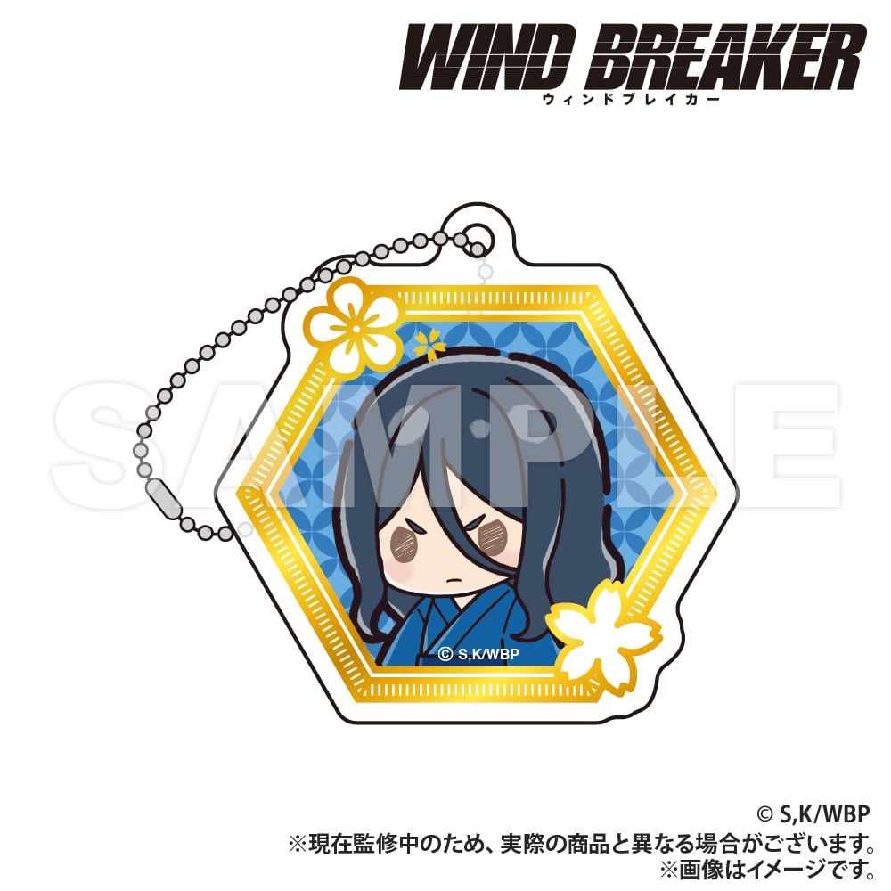 ウィンドブレイカー (ウィンブレ) 箔押し風アクリルキーホルダー ver.2 杉下     ホビーストックで2025年5月発売