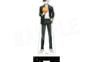 ウィンドブレイカー (ウィンブレ) アクリルフィギュアスタンド ROUND1ver. 桜遥
 
2025年08月発売