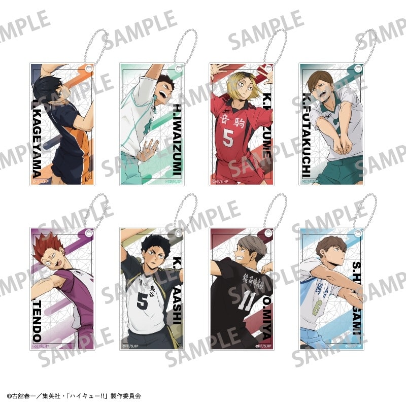 ハイキュー!! トレーディングスリムキーホルダー/vol.2
 アニメイトで
2025年08月発売