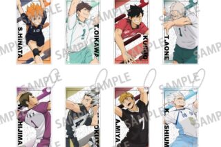 ハイキュー!! トレーディングスリムキーホルダー/vol.1
 アニメイトで
2025年08月発売