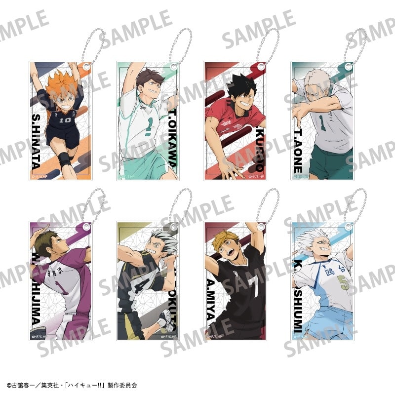 ハイキュー!! トレーディングスリムキーホルダー/vol.1
 アニメイトで
2025年08月発売