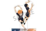 ハイキュー!! ペアアクリルスタンド/日向 翔陽_影山 飛雄
 
2025年08月発売
で取扱中