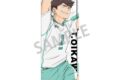 ハイキュー!! ロングスクエア缶バッジ/及川 徹
 
2025年08月発売
で取扱中