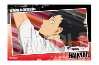 ハイキュー!! スタパネ ミニ vol.7　17
 アニメイトで
2025年07月発売