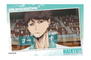ハイキュー!! スタパネ ミニ vol.7　12
 アニメイトで
2025年07月発売