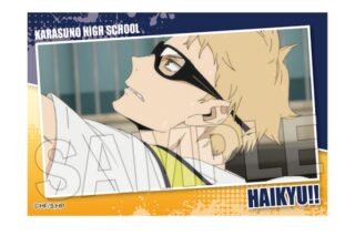 ハイキュー!! スタパネ ミニ vol.7　9
 アニメイトで
2025年07月発売